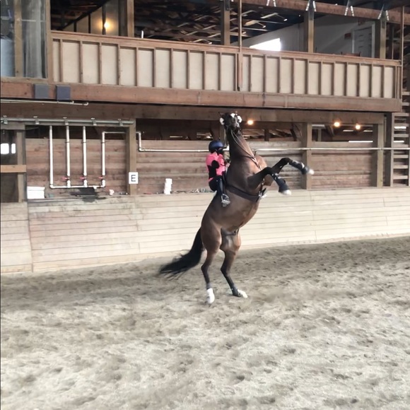 Meet your Posher, Riki - Picture 1 of 1